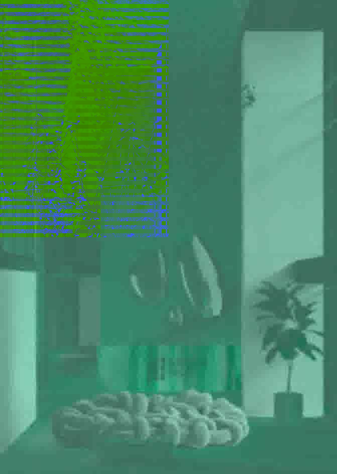 Green Side Gonio — візуалізація 23