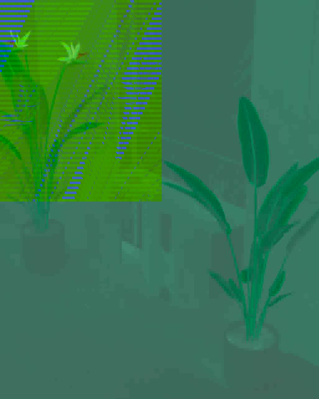 Monogram — ინფრასტრუქტურა 54
