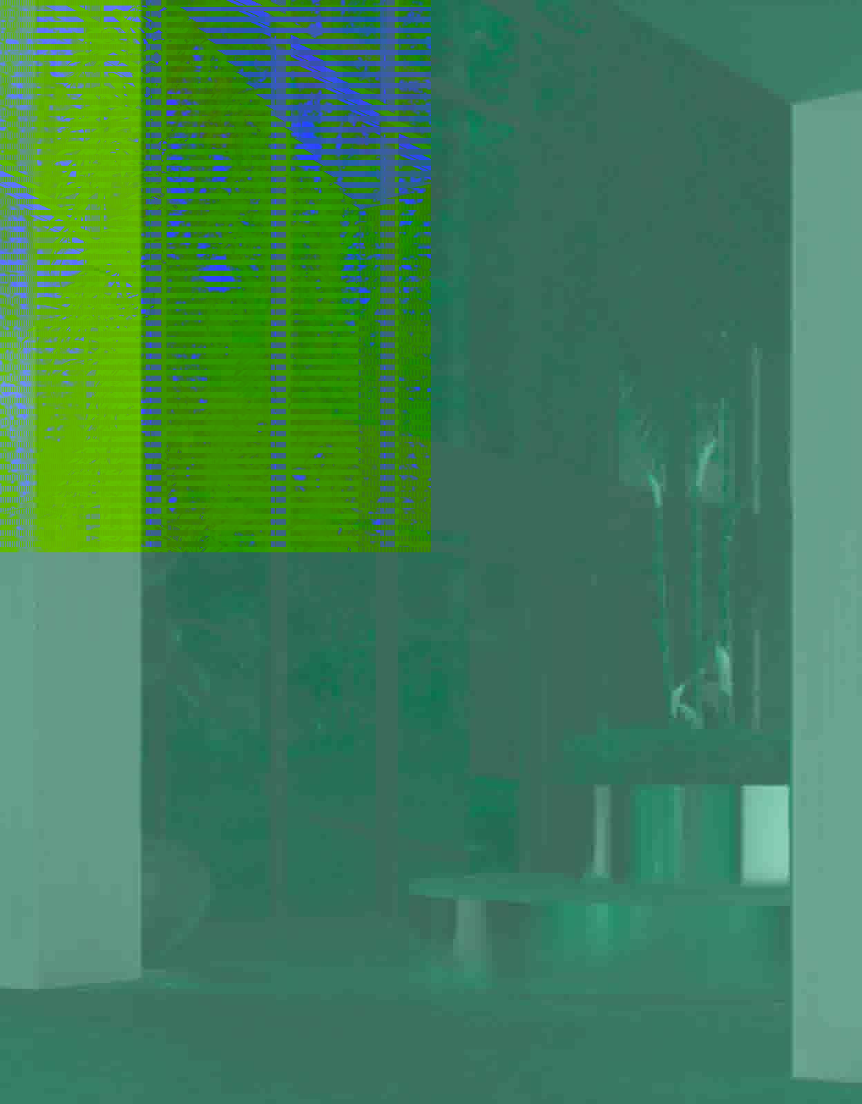 Green Side Gonio — інфраструктура 8