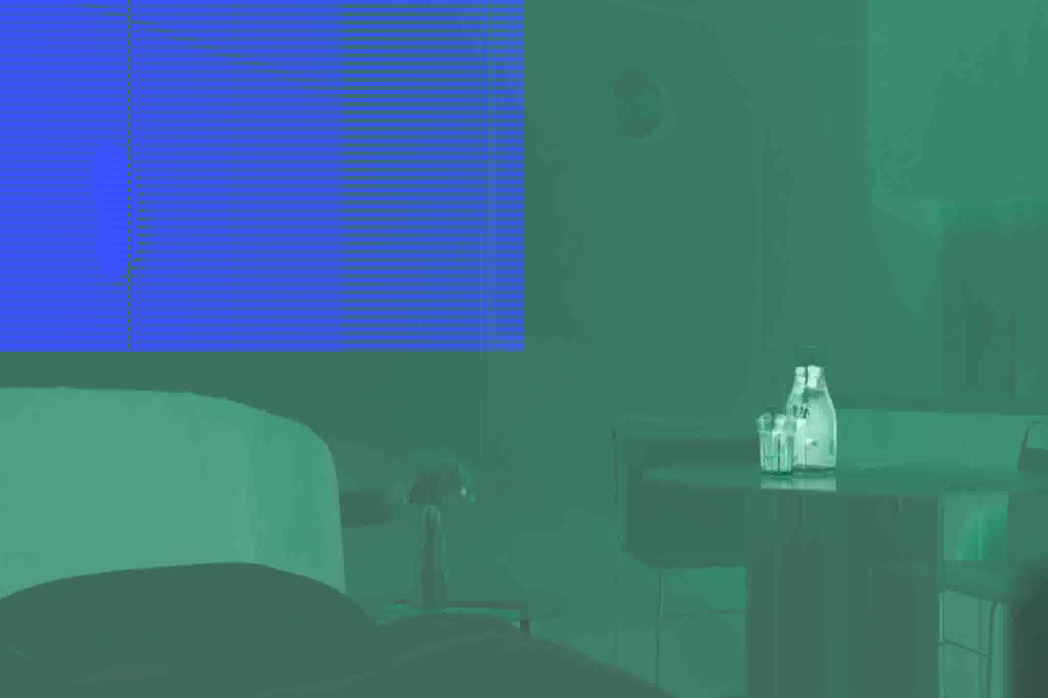 Next Magnolia — rendering 8