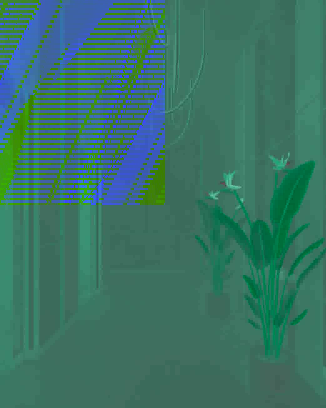 Monogram — ინფრასტრუქტურა 34