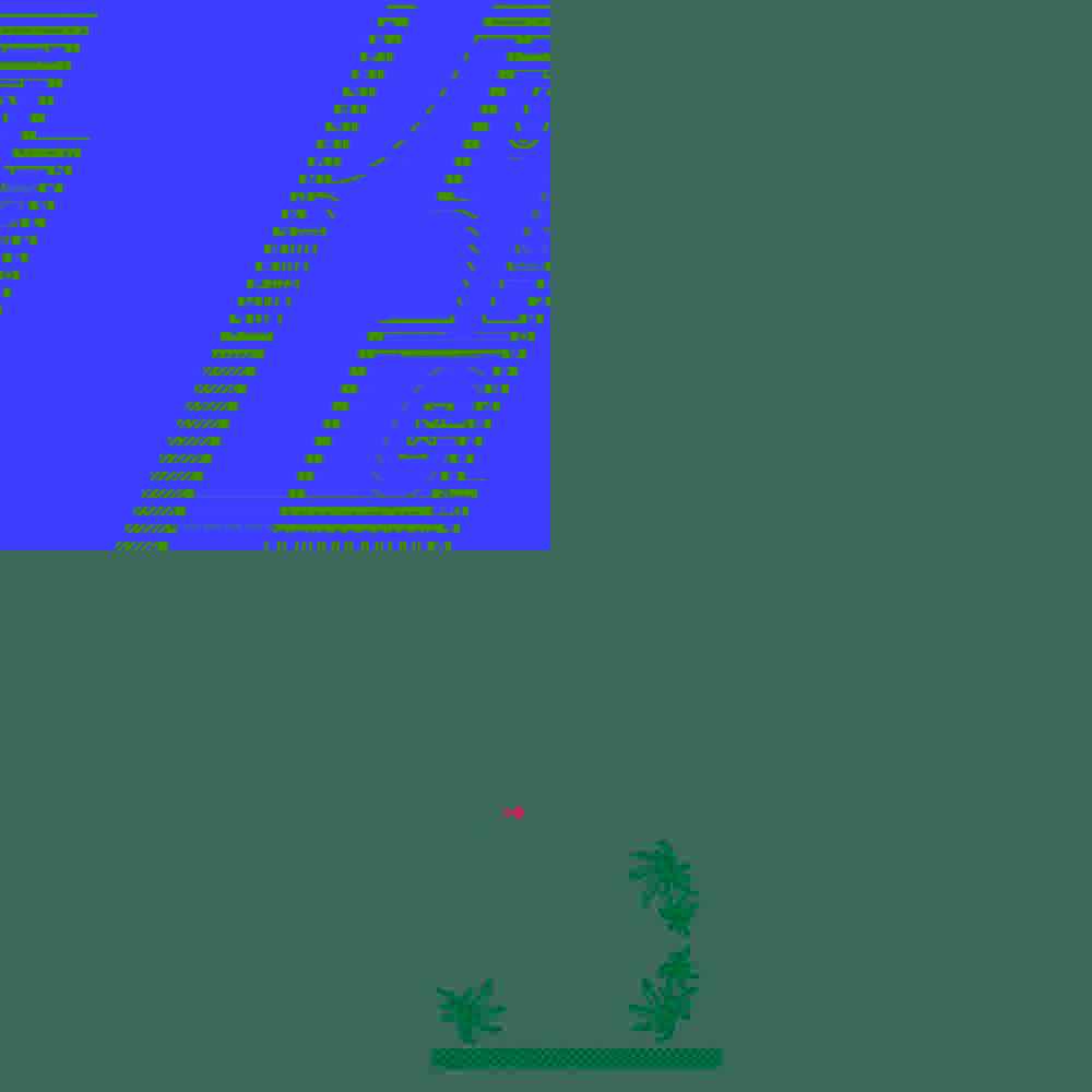 ROTANA — გეგმა 51