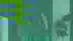 Green Side Gonio — ექსტერიერი 5